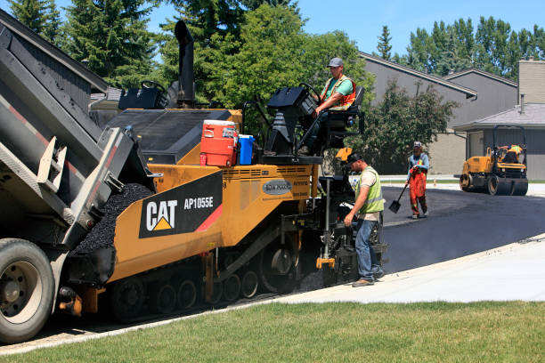Best Driveway Pavers Near Me  in Parkersburg, IA